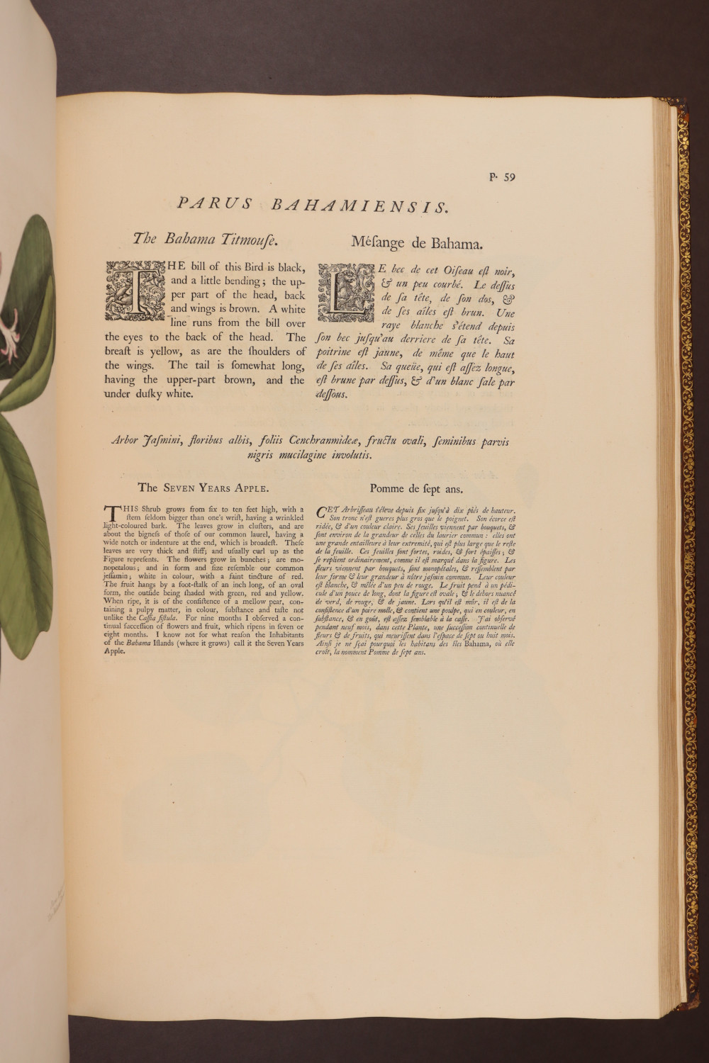 Page 59
